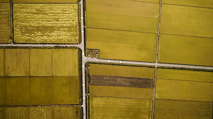 포토 JPG 주간 풍경 사람없음 야외 가을 충청남도 항공촬영 논밭 당진 국내포토 자연요소 계절 뷰포인트 밭 논 충청도 파일형식