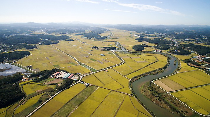 포토 JPG 주간 풍경 사람없음 야외 가을 충청남도 항공촬영 논밭 당진 국내포토 자연요소 계절 뷰포인트 밭 논 충청도 파일형식