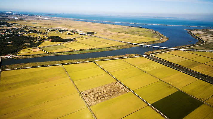 포토 JPG 주간 바다 풍경 사람없음 야외 가을 충청남도 항공촬영 논밭 당진 국내포토 자연요소 계절 뷰포인트 밭 논 충청도 파일형식