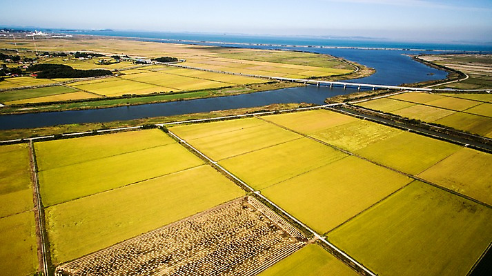 포토 JPG 주간 바다 풍경 사람없음 야외 가을 충청남도 항공촬영 논밭 당진 국내포토 자연요소 계절 뷰포인트 밭 논 충청도 파일형식