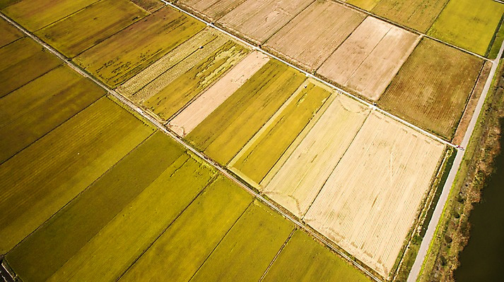 포토 JPG 주간 풍경 사람없음 야외 가을 충청남도 항공촬영 논밭 당진 국내포토 자연요소 계절 뷰포인트 밭 논 충청도 파일형식