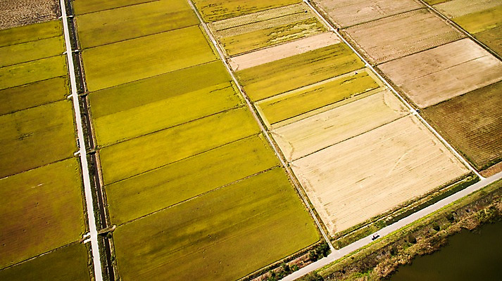 포토 JPG 주간 풍경 사람없음 야외 가을 충청남도 항공촬영 논밭 당진 국내포토 자연요소 계절 뷰포인트 밭 논 충청도 파일형식