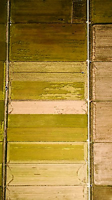 포토 JPG 주간 풍경 사람없음 야외 가을 충청남도 항공촬영 논밭 당진 국내포토 자연요소 계절 뷰포인트 밭 논 충청도 파일형식