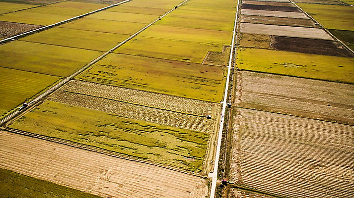 포토 JPG 주간 풍경 사람없음 야외 가을 충청남도 항공촬영 논밭 당진 국내포토 자연요소 계절 뷰포인트 밭 논 충청도 파일형식
