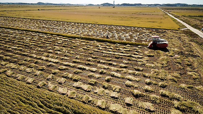 포토 JPG 주간 풍경 사람없음 야외 가을 충청남도 항공촬영 논밭 콤바인 당진 국내포토 자연요소 계절 뷰포인트 밭 논 농기구 충청도 파일형식