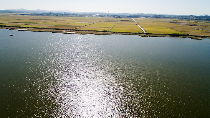 포토 JPG 주간 바다 풍경 사람없음 야외 가을 충청남도 항공촬영 논밭 당진 국내포토 자연요소 계절 뷰포인트 밭 논 충청도 파일형식