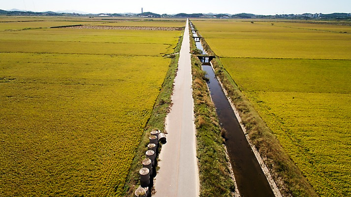 포토 JPG 주간 풍경 사람없음 야외 가을 충청남도 항공촬영 논밭 당진 국내포토 자연요소 계절 뷰포인트 밭 논 충청도 파일형식