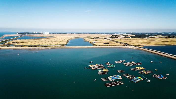 포토 JPG 주간 바다 논 풍경 사람없음 야외 가을 충청남도 양식장 항공촬영 선박 당진 국내포토 자연요소 계절 뷰포인트 수상교통 농업 시설 충청도 파일형식