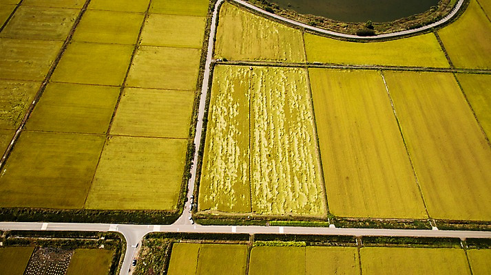 포토 JPG 주간 도로 풍경 사람없음 야외 가을 충청남도 항공촬영 논밭 당진 국내포토 자연요소 계절 길 뷰포인트 밭 교통시설 논 충청도 파일형식