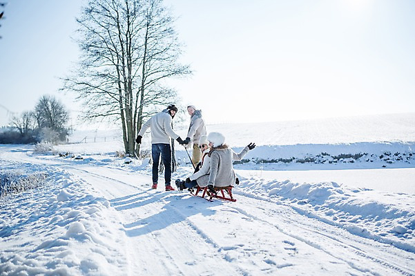 포토 JPG 주간 전신 서양인 나무 모자 여자 남자 겨울 서기 웃음 앉기 여러명 20대 성인 야외 뒷모습 선글라스 목도리 눈 당기기 썰매 국내포토 자연요소 외국인 식물 잡화 계절 안경 뷰포인트 다수 모션 날씨 표정 사람 청년 파일형식