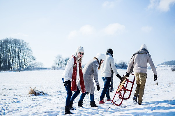 포토 JPG 주간 전신 서양인 모자 여자 남자 겨울 서기 웃음 여러명 20대 성인 야외 뒷모습 선글라스 목도리 눈 썰매 국내포토 자연요소 외국인 잡화 계절 안경 뷰포인트 다수 모션 날씨 표정 사람 청년 파일형식