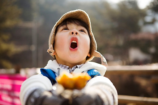 포토 JPG 주간 남자 어린이 겨울 한명 상반신 야외 앞모습 아웃포커스 화목 한국인 가족라이프 뜨거움 겨울음식 겨울간식 군고구마 양평 소년한명만 제철음식 국내포토 자연요소 1 라이프스타일 계절 음식 뷰포인트 컨셉 가족 디저트 촬영기법 사람 동양인 구이 경기도 제철 남자한명만 소년만 파일형식