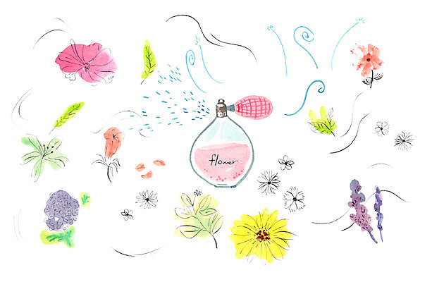 PSD 꽃 일러스트 사람없음 향수 향기 국내일러스트 식물 화장품 냄새 파일형식