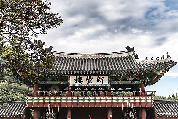 포토 JPG 주간 나무 한국문화 건축물 고건축 풍경 사람없음 야외 궁전 세계문화유산 문화재 가을 기와지붕 수원 화성시 국내포토 자연요소 식물 동양문화 계절 건축 지붕 한국 기와 경기도 파일형식