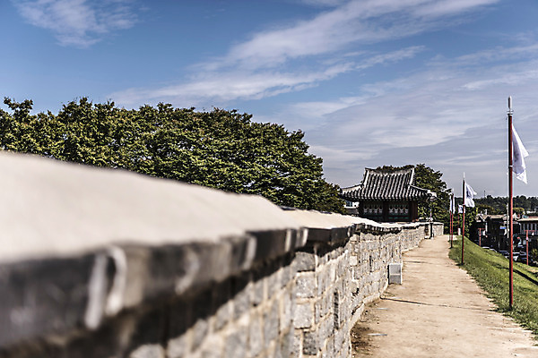 포토 JPG 주간 나무 한국문화 건축물 고건축 풍경 사람없음 야외 세계문화유산 문화재 가을 깃발 성 벽돌담 수원 성곽길 화성시 국내포토 자연요소 식물 동양문화 계절 건축 길 벽돌 한국 담장 경기도 파일형식