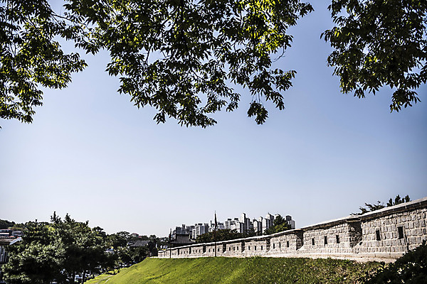 포토 JPG 주간 나무 한국문화 건축물 고건축 자연 풍경 사람없음 야외 세계문화유산 문화재 가을 성 성벽 벽돌담 수원 성곽길 화성시 국내포토 자연요소 식물 동양문화 계절 건축 길 벽돌 한국 담장 생태계 경기도 파일형식