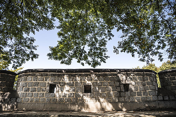 포토 JPG 주간 나무 한국문화 건축물 고건축 자연 사람없음 야외 세계문화유산 문화재 성 성벽 수원 화성시 국내포토 자연요소 식물 동양문화 건축 한국 생태계 경기도 파일형식