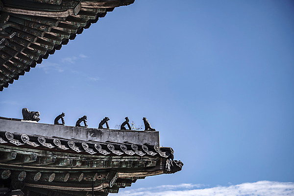 포토 JPG 주간 한국문화 건축물 고건축 사람없음 야외 세계문화유산 문화재 성 처마 기와지붕 수원 어처구니 화성시 국내포토 자연요소 동양문화 건축 지붕 한국 기와 경기도 파일형식