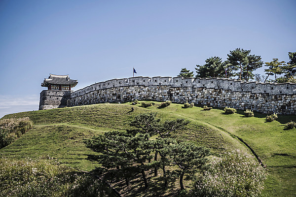 포토 JPG 주간 나무 한국문화 건축물 고건축 자연 풍경 사람없음 야외 세계문화유산 문화재 성 성벽 벽돌담 수원 성곽길 화성시 국내포토 자연요소 식물 동양문화 건축 길 벽돌 한국 담장 생태계 경기도 파일형식
