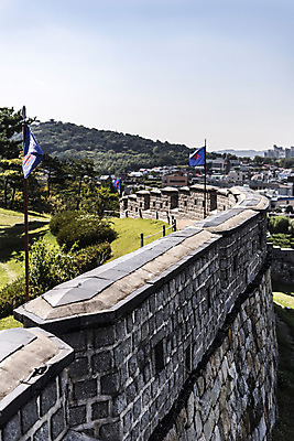 포토 JPG 주간 나무 한국문화 건축물 고건축 풍경 사람없음 야외 세계문화유산 문화재 성 성벽 벽돌담 수원 성곽길 화성시 국내포토 자연요소 식물 동양문화 건축 길 벽돌 한국 담장 경기도 파일형식