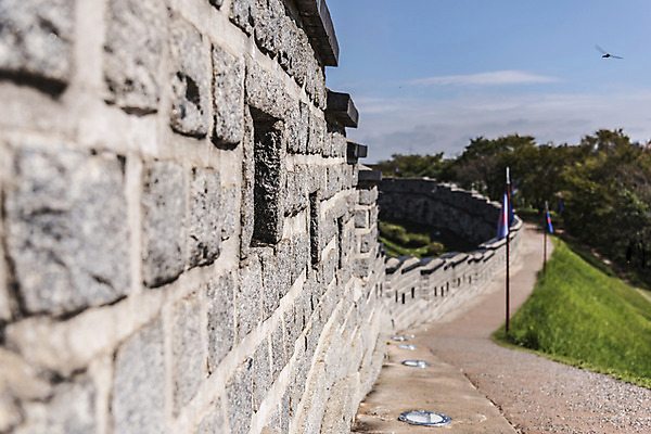 포토 JPG 주간 나무 한국문화 건축물 고건축 사람없음 야외 세계문화유산 문화재 성 성벽 벽돌담 수원 성곽길 화성시 국내포토 자연요소 식물 동양문화 건축 길 벽돌 한국 담장 경기도 파일형식
