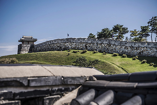 포토 JPG 주간 나무 한국문화 건축물 고건축 사람없음 야외 세계문화유산 문화재 성 성벽 벽돌담 수원 성곽길 화성시 기와담장 국내포토 자연요소 식물 동양문화 건축 길 벽돌 한국 기와 담장 경기도 파일형식