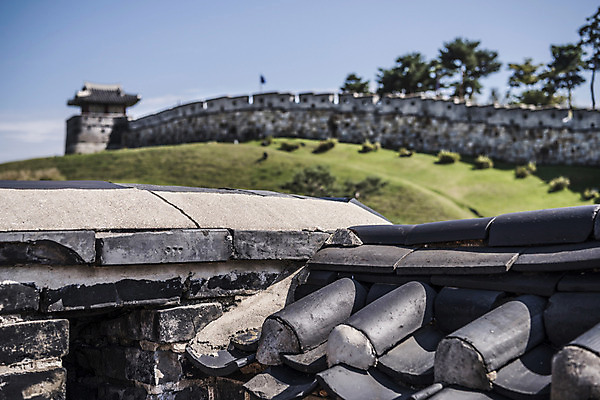 포토 JPG 주간 나무 한국문화 건축물 고건축 사람없음 야외 세계문화유산 문화재 성 성벽 벽돌담 수원 성곽길 화성시 기와담장 국내포토 자연요소 식물 동양문화 건축 길 벽돌 한국 기와 담장 경기도 파일형식