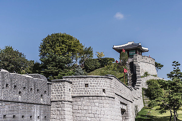 포토 JPG 주간 나무 한국문화 건축물 고건축 자연 풍경 사람없음 야외 세계문화유산 문화재 성 성벽 벽돌담 수원 성곽길 화성시 국내포토 자연요소 식물 동양문화 건축 길 벽돌 한국 담장 생태계 경기도 파일형식