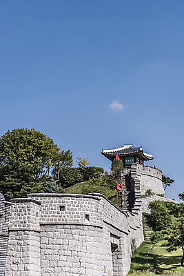 포토 JPG 주간 나무 한국문화 건축물 고건축 자연 풍경 사람없음 야외 세계문화유산 문화재 성 성벽 벽돌담 수원 성곽길 화성시 국내포토 자연요소 식물 동양문화 건축 길 벽돌 한국 담장 생태계 경기도 파일형식