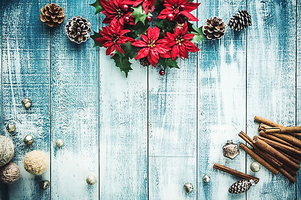 포토 JPG 스튜디오촬영 백그라운드 크리스마스장식 크리스마스 겨울 실내 이벤트 사람없음 장식볼 오브젝트 솔방울 나무판자 포인세티아 시나몬 오너먼트 국내포토 계절 기념일 꽃 내부 목재 장식 파일형식