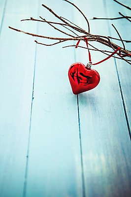 포토 JPG 스튜디오촬영 백그라운드 크리스마스장식 크리스마스 겨울 실내 이벤트 사람없음 나뭇가지 하트 오브젝트 오너먼트 국내포토 모양 나무 계절 기념일 내부 파일형식