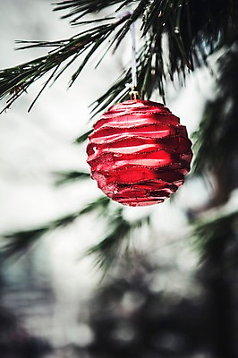 포토 JPG 스튜디오촬영 백그라운드 크리스마스장식 크리스마스 겨울 실내 이벤트 사람없음 크리스마스트리 장식볼 소나무 오브젝트 오너먼트 국내포토 나무 계절 기념일 내부 장식 파일형식