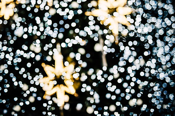 포토 JPG 스튜디오촬영 백그라운드 크리스마스 겨울 전구 실내 이벤트 사람없음 장식 빛 크리스마스트리 보케 국내포토 계절 기념일 내부 파일형식