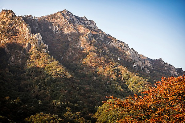 포토 JPG 주간 단풍 자연 단풍나무 산 풍경 사람없음 야외 가을 설악산 국내포토 자연요소 나무 계절 잎 생태계 인제 파일형식