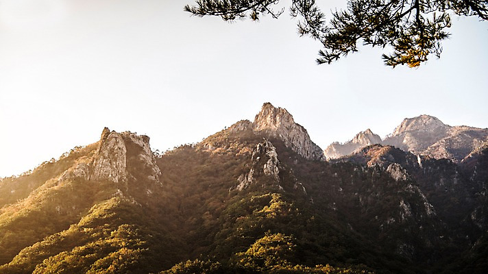 포토 JPG 주간 자연 산 풍경 사람없음 야외 가을 설악산 국내포토 자연요소 계절 생태계 인제 파일형식