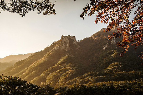 포토 JPG 주간 단풍 자연 하늘 산 풍경 사람없음 야외 가을 설악산 국내포토 자연요소 계절 잎 생태계 인제 파일형식