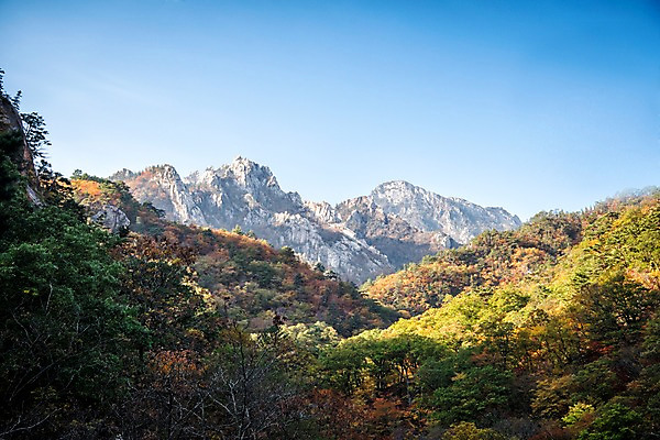 포토 JPG 주간 단풍 자연 하늘 산 풍경 사람없음 야외 가을 설악산 국내포토 자연요소 계절 잎 생태계 인제 파일형식