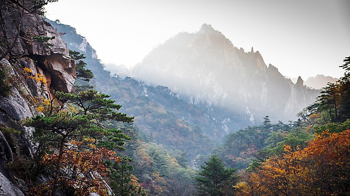 포토 JPG 주간 단풍 자연 단풍나무 산 풍경 사람없음 야외 가을 바위 설악산 국내포토 자연요소 나무 계절 잎 돌_바위 생태계 인제 파일형식