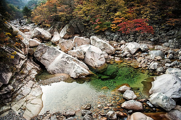 포토 JPG 주간 단풍 자연 풍경 사람없음 야외 계곡 가을 바위 설악산 국내포토 자연요소 계절 잎 산 돌_바위 생태계 인제 파일형식