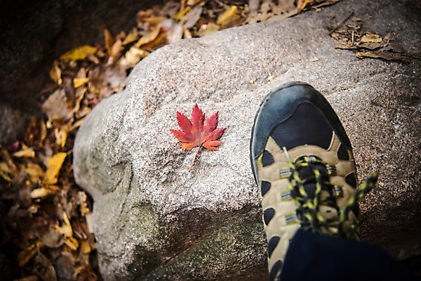 포토 JPG 주간 단풍 발 자연 한명 풍경 야외 신체부위 하반신 가을 바위 등산화 설악산 국내포토 자연요소 1 계절 신발 잎 산 사람 돌_바위 생태계 등산용품 인제 파일형식