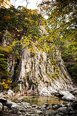 포토 JPG 주간 단풍 자연 풍경 사람없음 야외 계곡 가을 바위 설악산 국내포토 자연요소 계절 잎 산 돌_바위 생태계 인제 파일형식