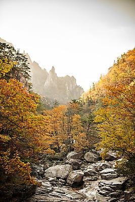 포토 JPG 주간 단풍 자연 풍경 사람없음 야외 계곡 가을 바위 설악산 국내포토 자연요소 계절 잎 산 돌_바위 생태계 인제 파일형식