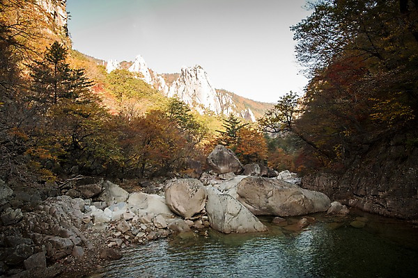 포토 JPG 주간 자연 풍경 사람없음 야외 계곡 가을 바위 설악산 국내포토 자연요소 계절 산 돌_바위 생태계 인제 파일형식
