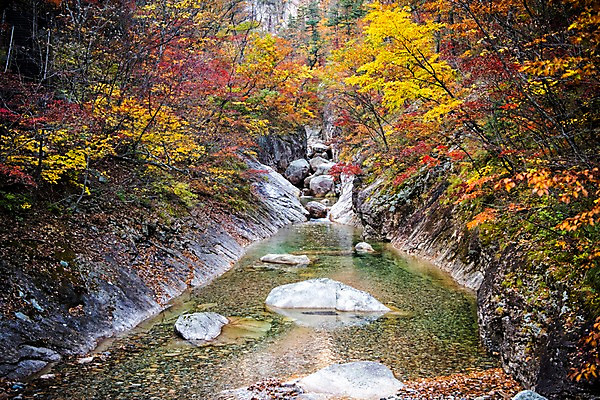 포토 JPG 주간 단풍 자연 풍경 사람없음 야외 계곡 가을 바위 설악산 국내포토 자연요소 계절 잎 산 돌_바위 생태계 인제 파일형식
