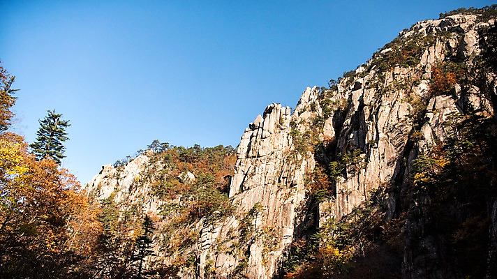 포토 JPG 주간 단풍 자연 단풍나무 풍경 사람없음 야외 가을 바위 설악산 국내포토 자연요소 나무 계절 잎 산 돌_바위 생태계 인제 파일형식