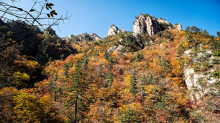 포토 JPG 주간 단풍 자연 단풍나무 풍경 사람없음 야외 가을 바위 설악산 국내포토 자연요소 나무 계절 잎 산 돌_바위 생태계 인제 파일형식