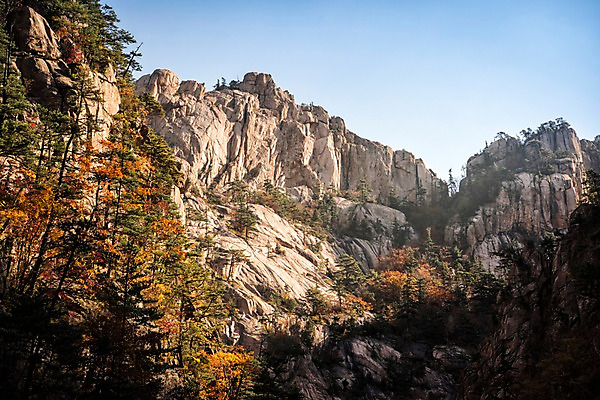 포토 JPG 주간 단풍 자연 단풍나무 풍경 사람없음 야외 가을 바위 설악산 국내포토 자연요소 나무 계절 잎 산 돌_바위 생태계 인제 파일형식