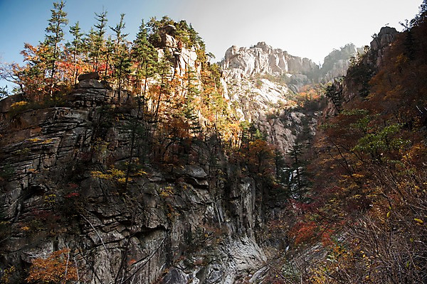 포토 JPG 주간 단풍 자연 단풍나무 풍경 사람없음 야외 가을 바위 설악산 국내포토 자연요소 나무 계절 잎 산 돌_바위 생태계 인제 파일형식