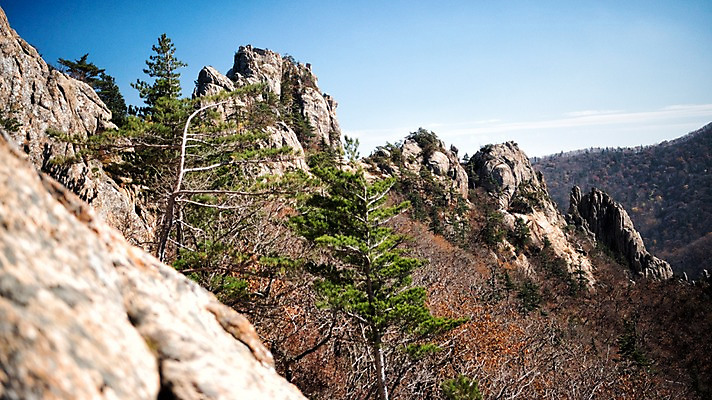 포토 JPG 주간 자연 풍경 사람없음 야외 가을 바위 설악산 국내포토 자연요소 계절 산 생태계 인제 파일형식