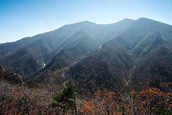 포토 JPG 주간 단풍 자연 하늘 풍경 사람없음 야외 가을 설악산 국내포토 자연요소 계절 잎 산 생태계 인제 파일형식